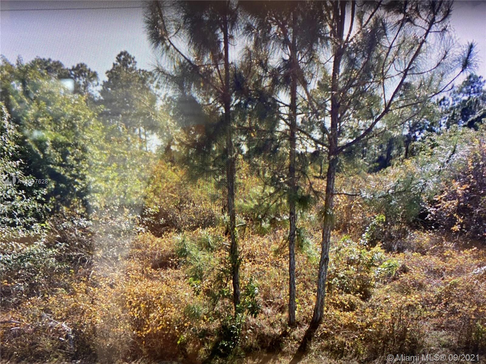 Photo 3 of 3 of 1122 Craft st e land