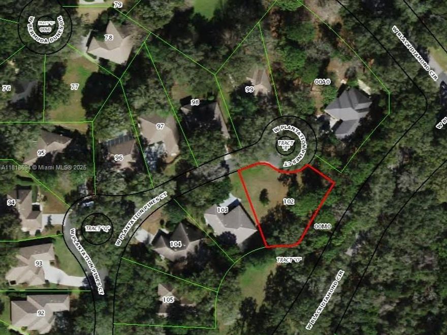 Build your dream home. Large 0.3-Acre Vacant Lot in the Black Diamond Golf Community! Great Access: Close to Tampa, Orlando attractions, and the Gulf Coast. Outdoor Paradise: Enjoy boating, fishing, cycling, kayaking, and the scenic Withlacoochee Nature Trail. Golf Heaven: Three stunning golf courses and beautifully maintained grounds. Utilities Ready: All essential utilities available. Perfect Setting: Quiet cul-de-sac for privacy and tranquility. Priced to sell. Don't miss this opportunity to build your dream home!