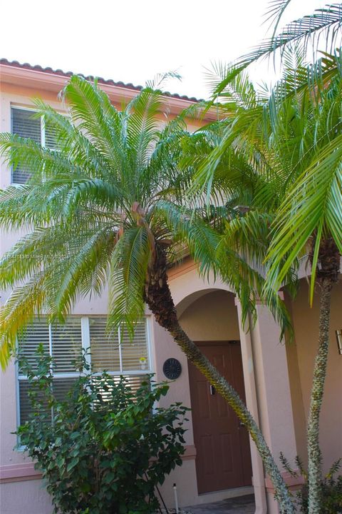 A home in Weston