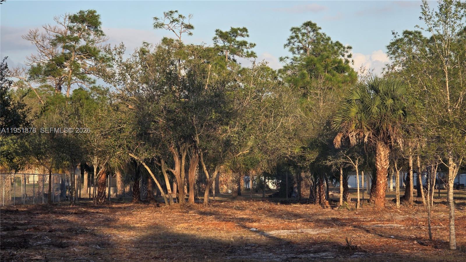 MONTURA SOUTH HALF (100804 - Land