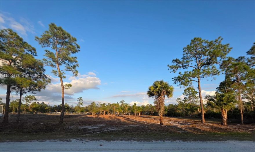 This 1.25-acre lot in Montura Ranch is high and dry, cleared, and adorned with beautiful trees. The property is ready for your construction project or the installation of a manufactured home, allowing you to move in sooner than you may expect. Excellent investment opportunity! Build your dream home or place a manufactured home—endless possibilities await.
Enjoy peaceful weekend getaways away from the city while embracing the rural lifestyle Montura Ranch Estates is known for. Farm animals are permitted, making this an ideal setting for country living and open space.
The community offers a clubhouse with pool, recreational facilities, parks, a children’s playground, and basketball courts. No HOA fees.