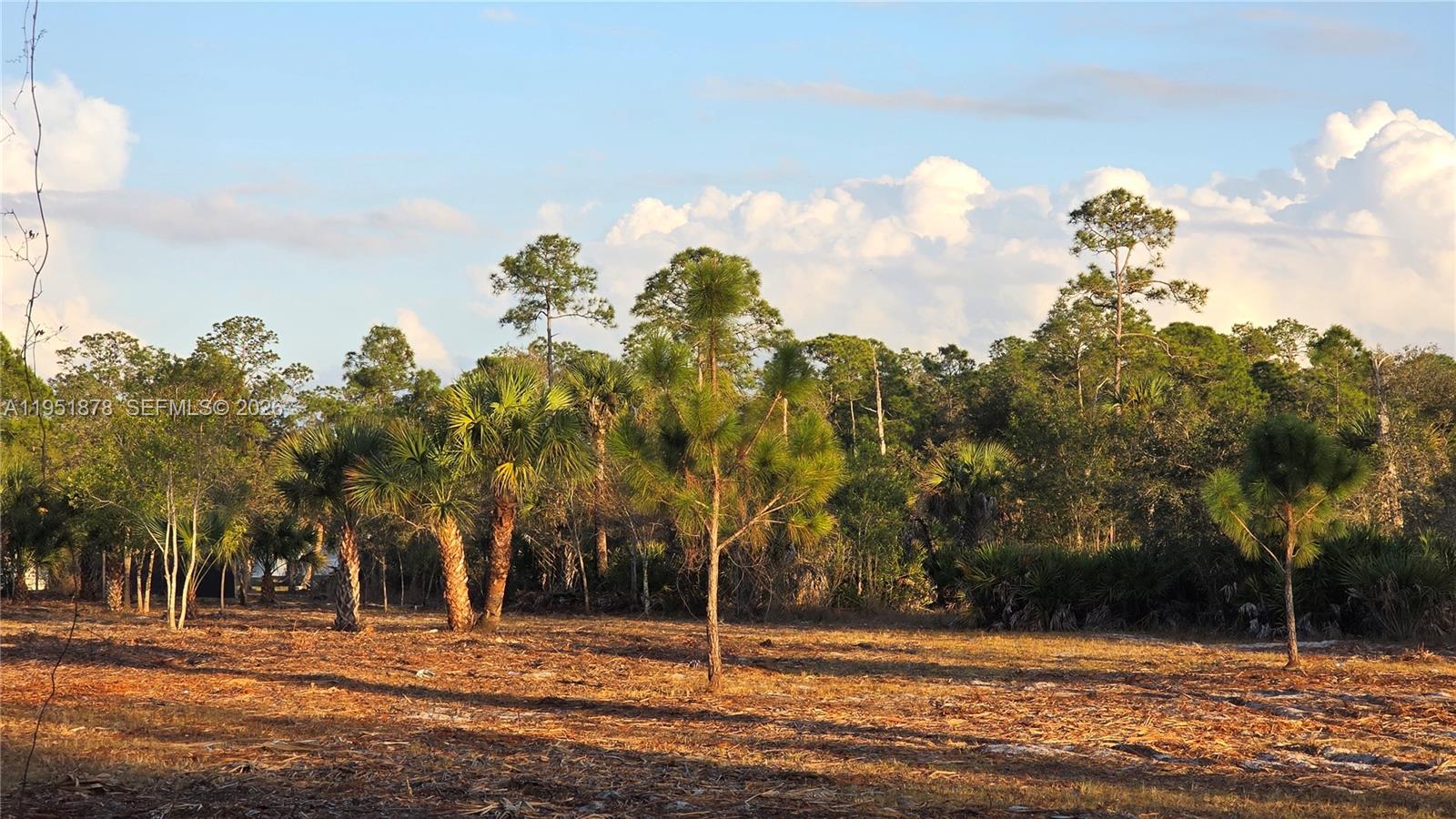 MONTURA SOUTH HALF (100804 - Land