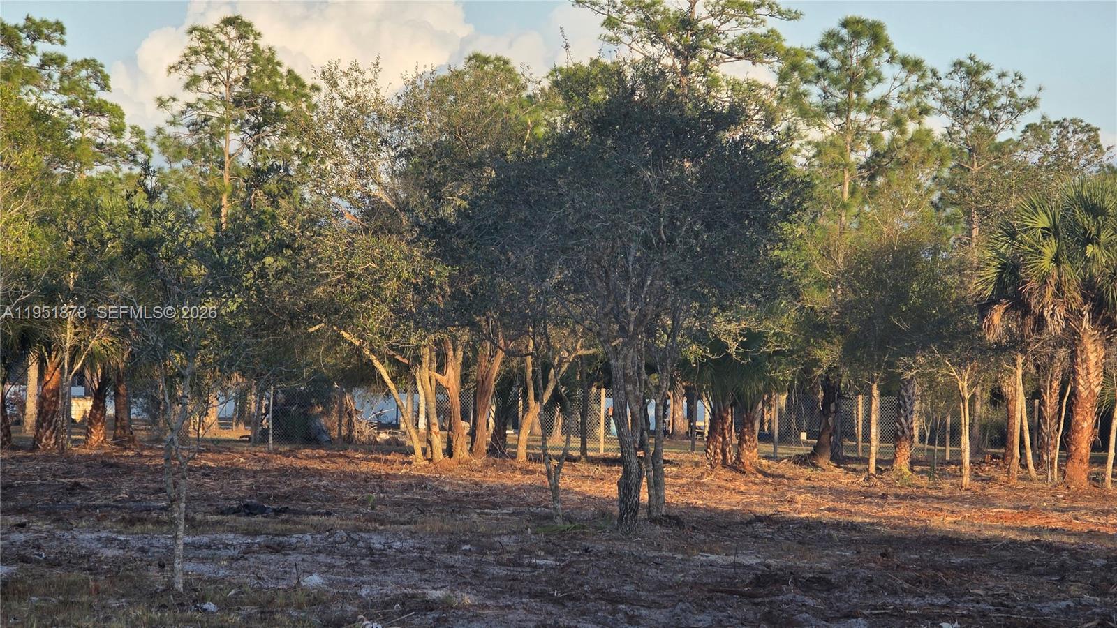 MONTURA SOUTH HALF (100804 - Land