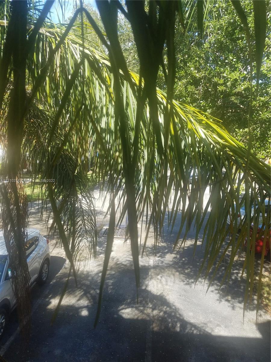 SORRENTO LAKES AT SUNRISE - Residential Lease