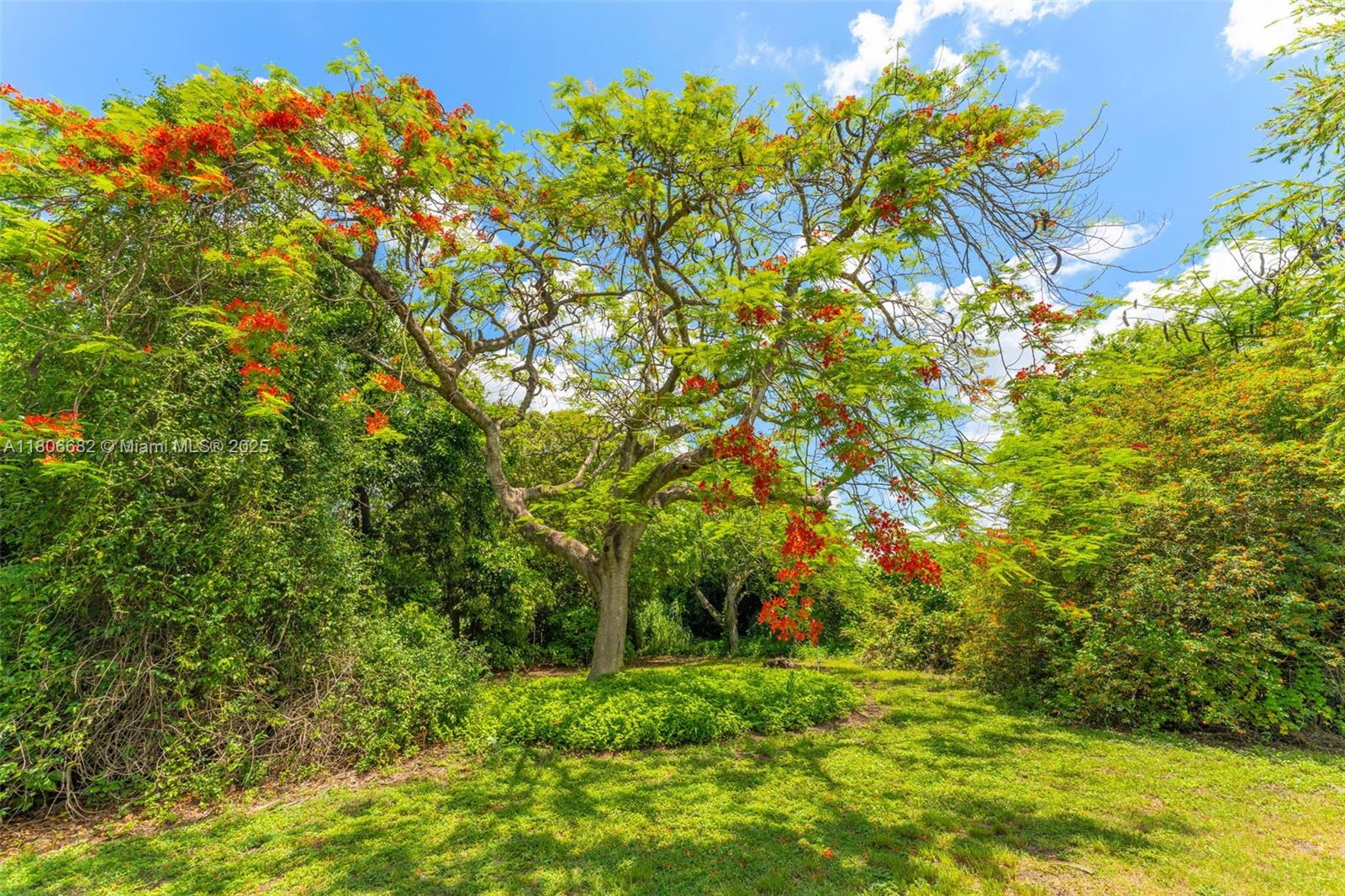 18900 SW 186th St, Miami, FL, 33187/$1,199,000 3 18900 SW 186th St