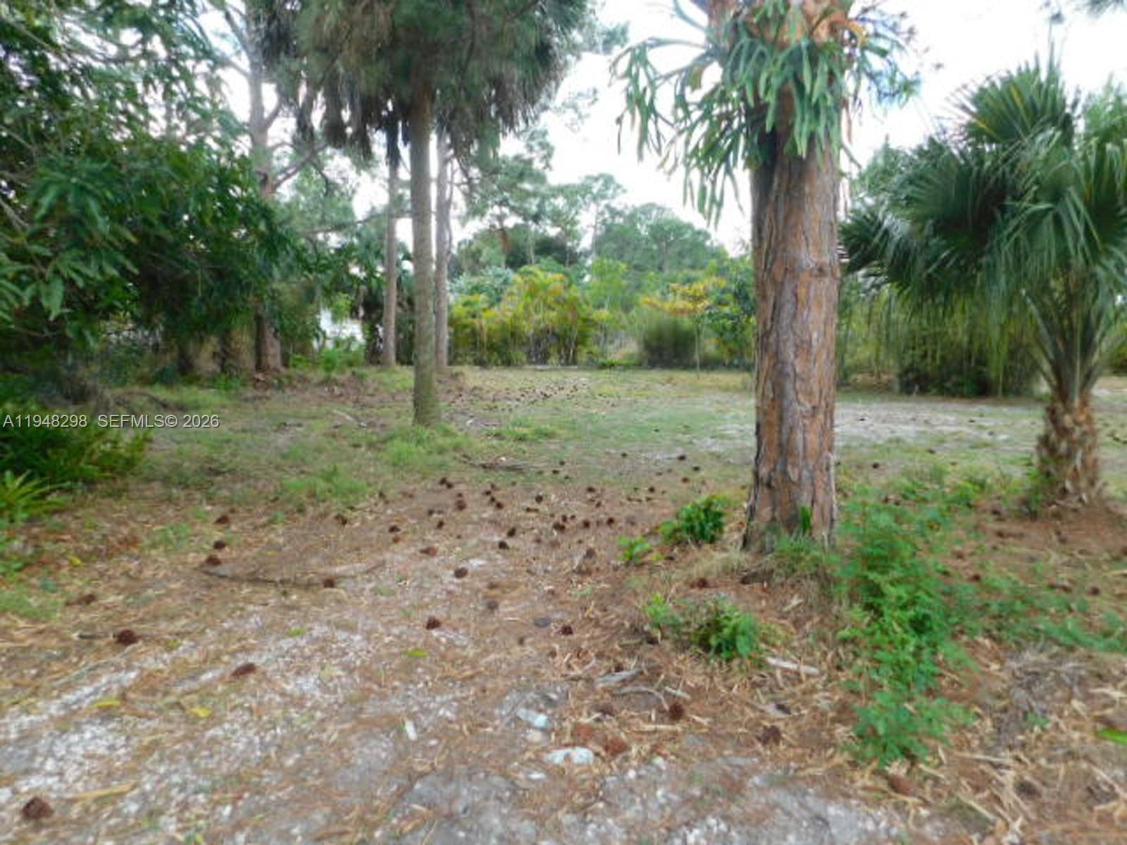 Port St Lucie Section 14 - Residential