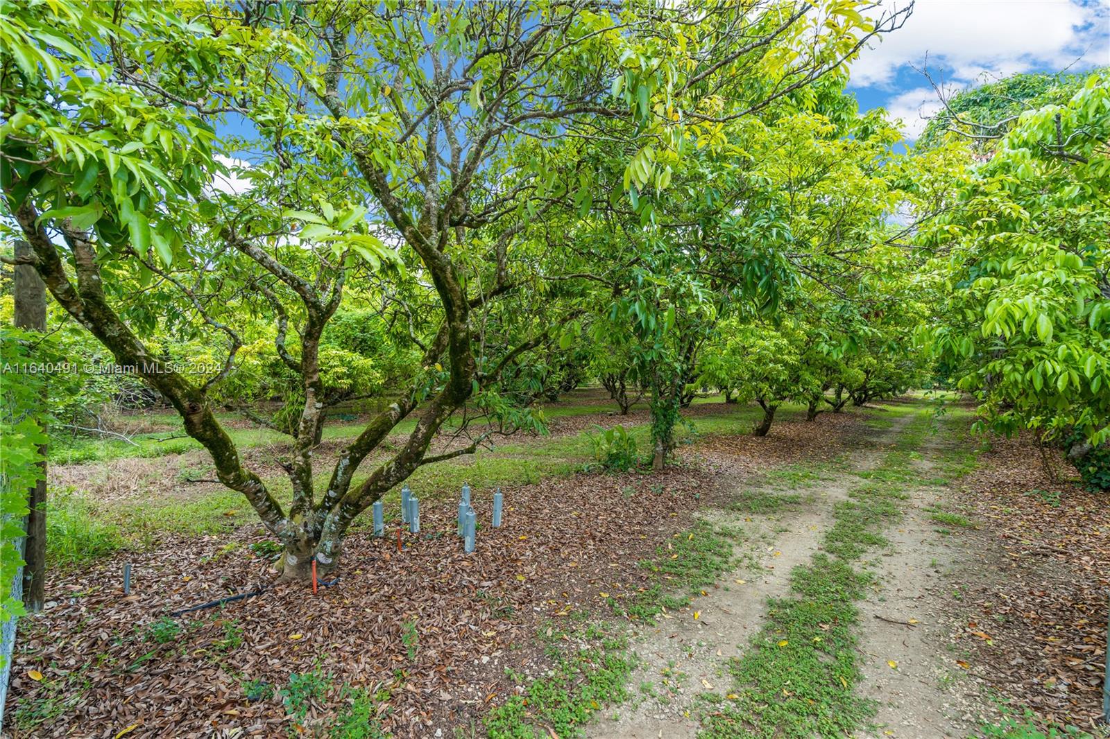 Acreage - Residential