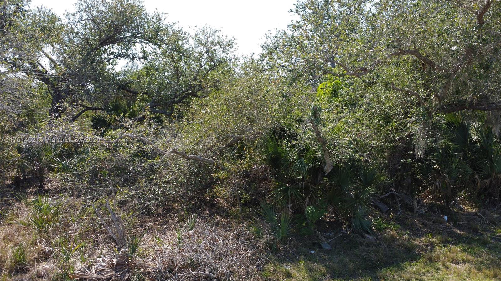 East Englewood - Land