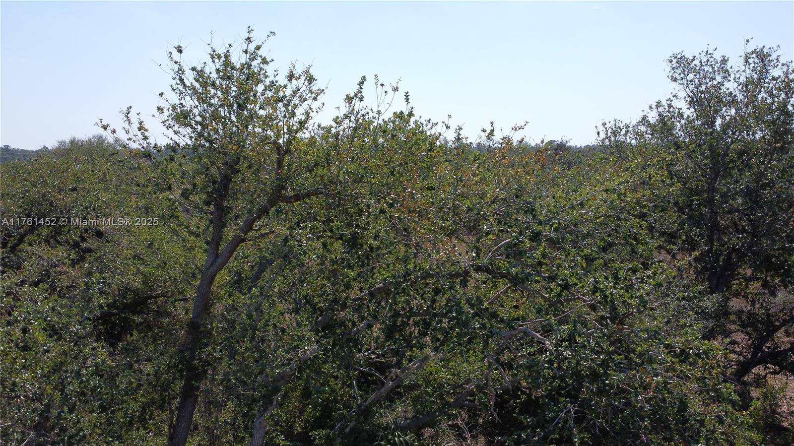 East Englewood - Land