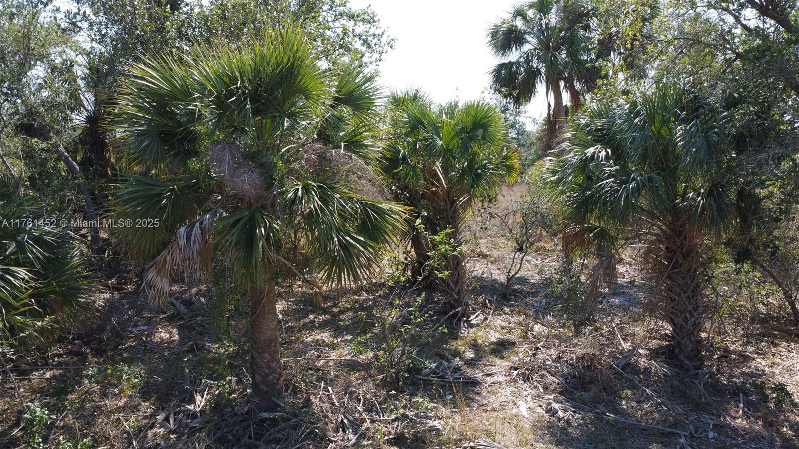 East Englewood - Land