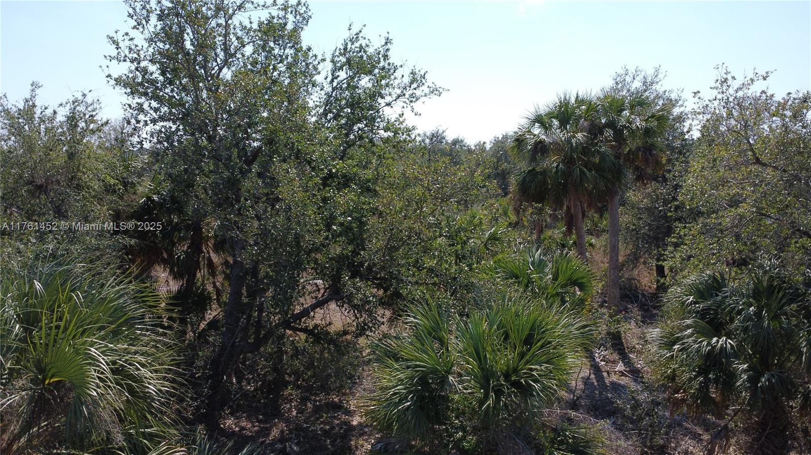 East Englewood - Land