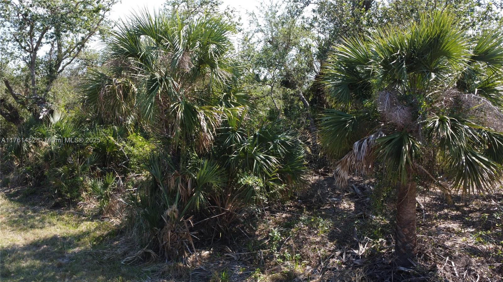 East Englewood - Land