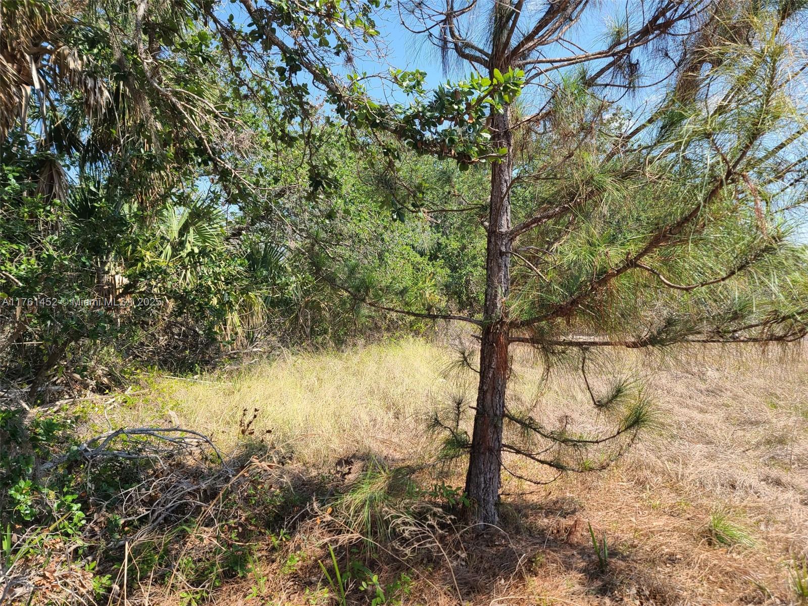 East Englewood - Land