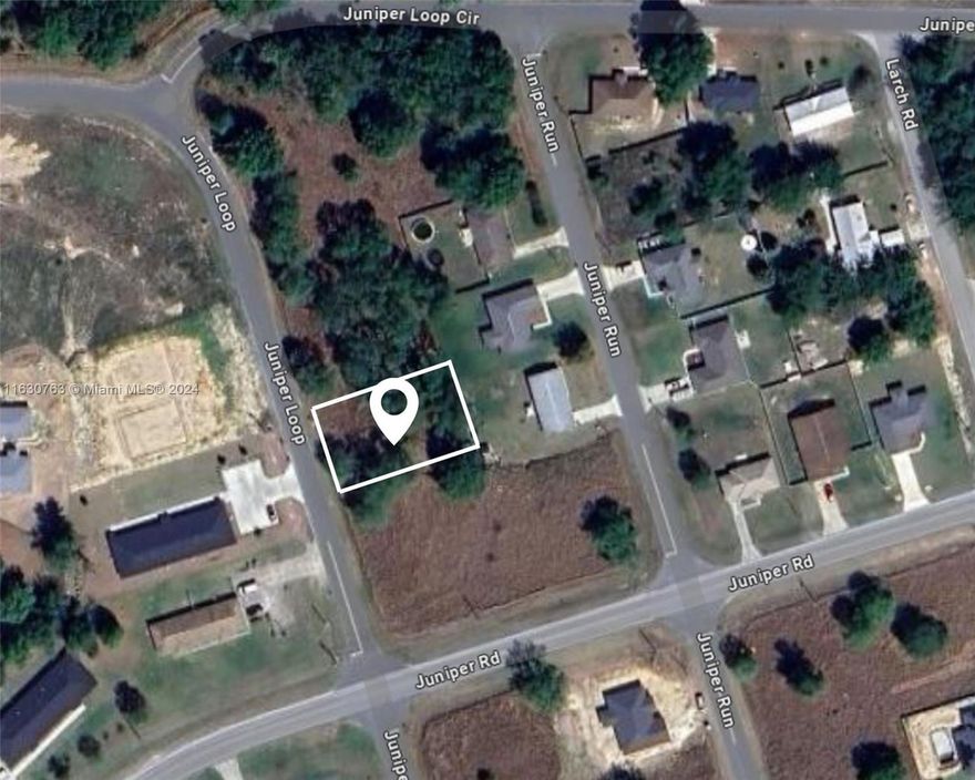 Welcome to Silver Springs! This prime vacant lot, spanning just over 10,000 sqft, offers the perfect canvas to build your dream home. Nestled in the heart of beautiful Ocala, FL, you'll enjoy the convenience of being just 2 miles away from Publix and Walmart, ensuring all your shopping needs are within easy reach. Embrace the opportunity to create your own slice of paradise in this serene and desirable location. Don't miss out on this exceptional chance to make your dream a reality!