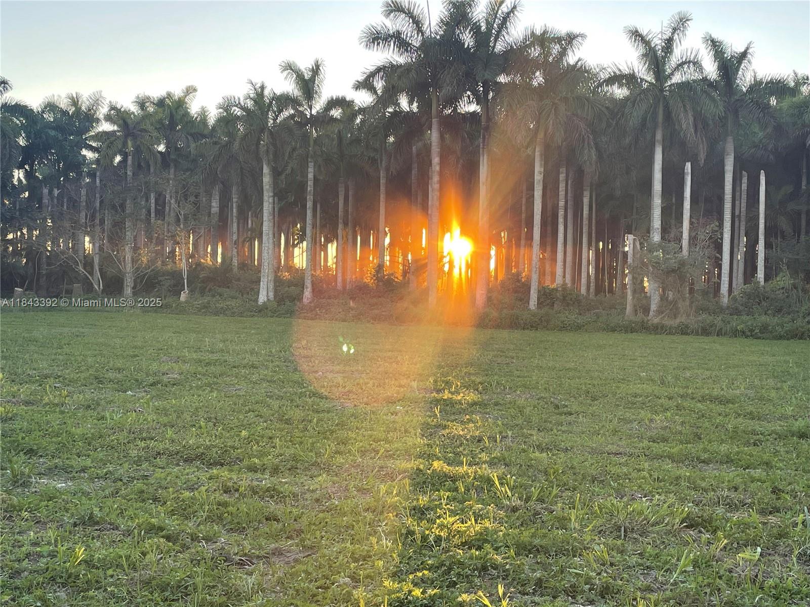 AMAZING OPPORTUNITY-PRICED FOR IMMEDIATE SALE!! **SELLER HELD MORTGAGE IF NEEDED** PARTNERSHIP IN BUSINESS OPPORTUNITY*** 20 ACRES OF AMAZING OPPORTUNITY IN SOUTHWEST MIAMI!! A Real Investment with A PATH FOR FUTURE DEVELOPMENT!!YOU HAVE IMMEDIATE CASH-FLOW FROM CURRENT PALM TREE Inventory!! Build your own Private Oasis minutes away from Shopping Centers, Awesome Restaurants, All the best that Miami has to offer!!! Qualify for EB-5 Visa Program for Foreign Investors!! This is once in a lifetime opportunity for TODAY'S MARKET!!Amazing Parcel of Land.,. Don't let this Once in a Lifetime Opportunity Pass You By...THIS IS THE FUTURE OF GROWTH AND INNOVATION!!
