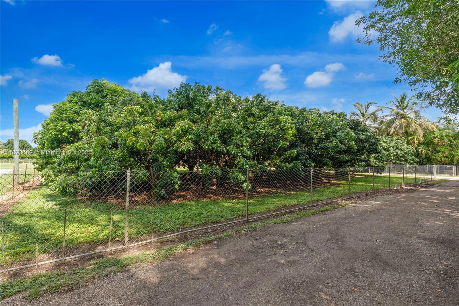 SILVER PALM ACRES - Residential