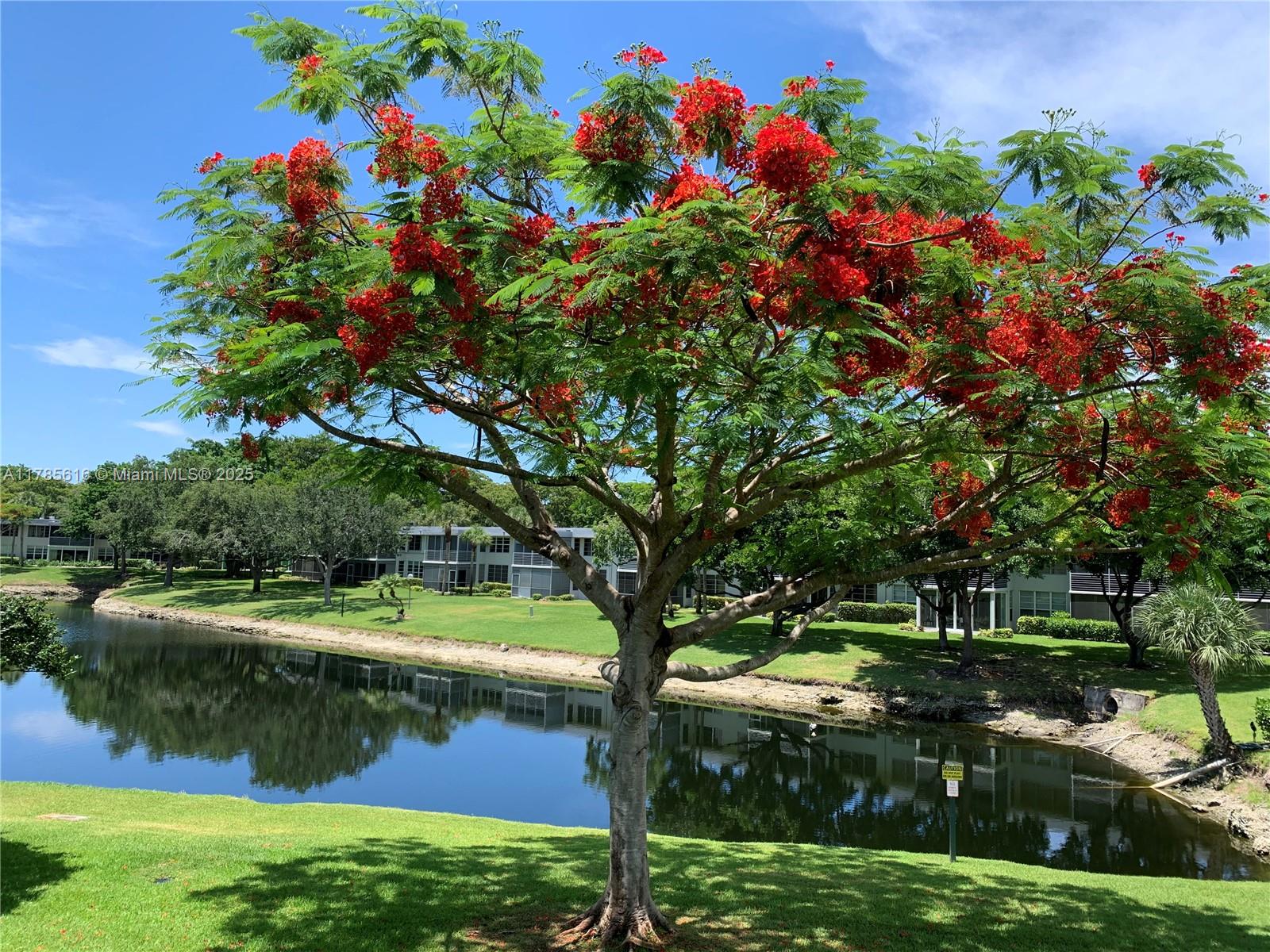 NO 14 PALM-AIRE COUNTRY C - Residential