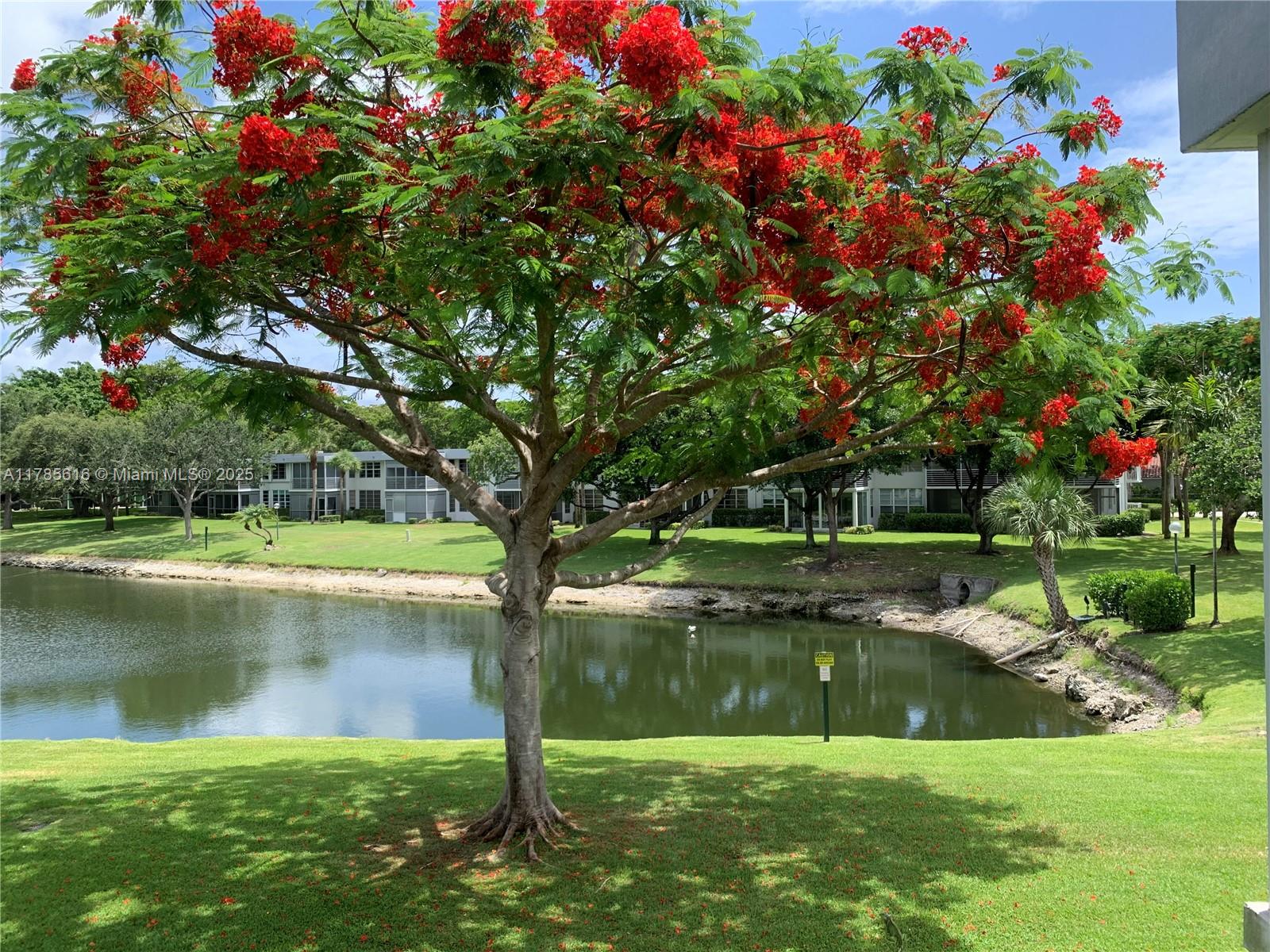 NO 14 PALM-AIRE COUNTRY C - Residential