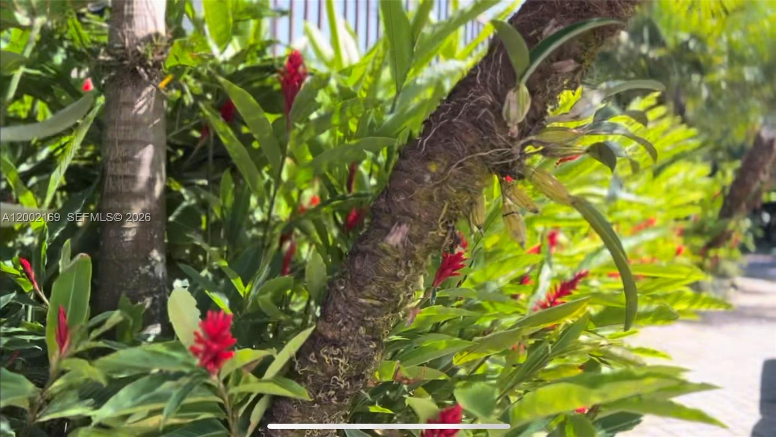 Curridabat - Residential