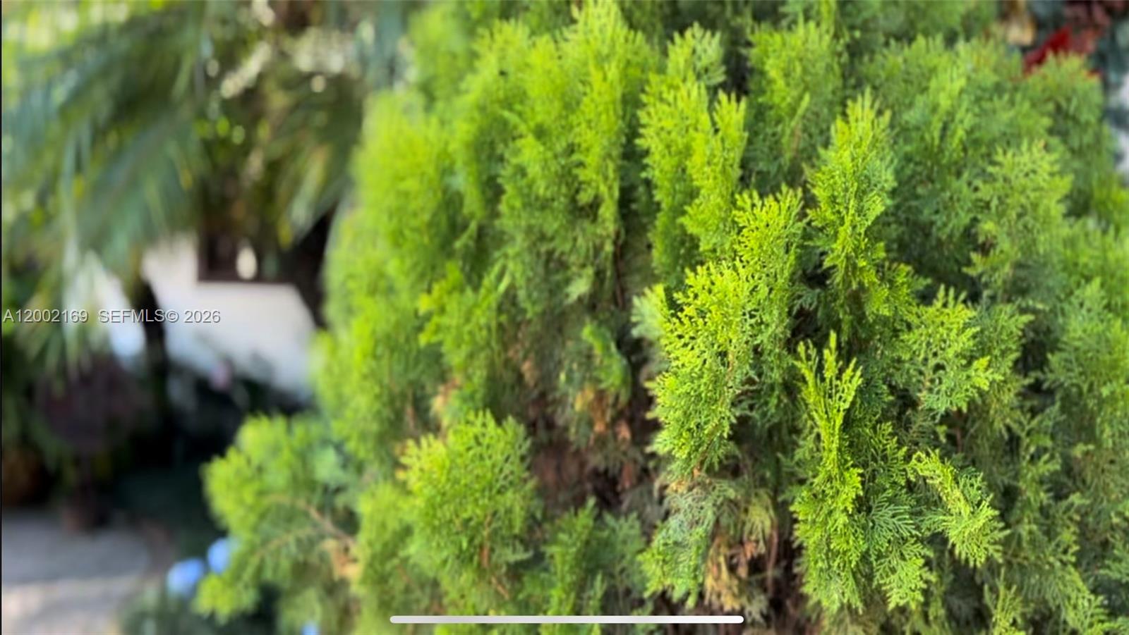 Curridabat - Residential