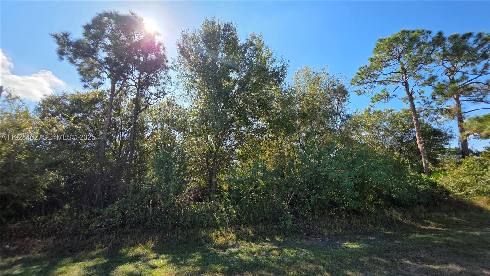 THE WOODLAND S/D - Land