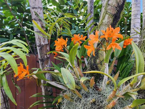 A home in Biscayne Park