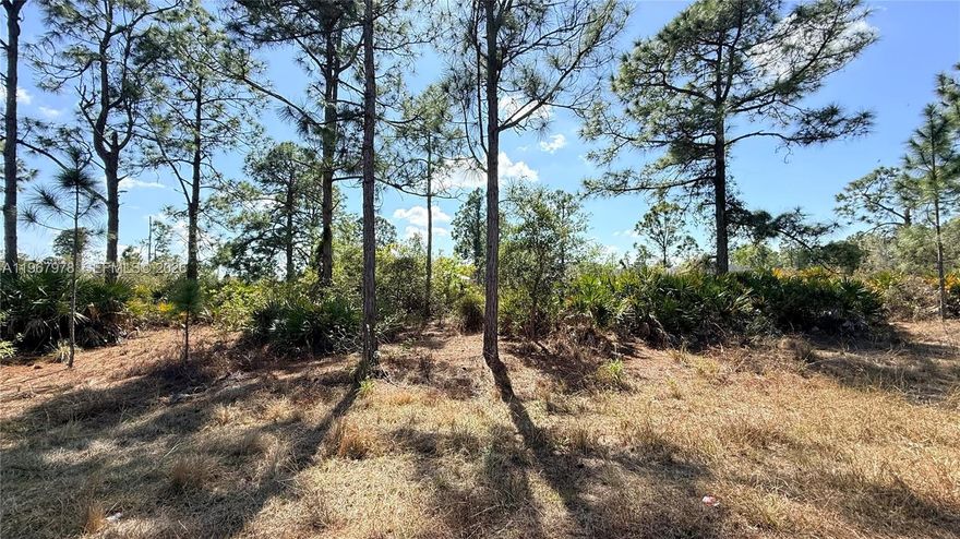 Beautiful residential lot for sale in a rapidly growing area. Convenient location with easy access to shopping, schools, dining, and major roads. Great opportunity for owner-builders or investors—secure your piece of Florida today.