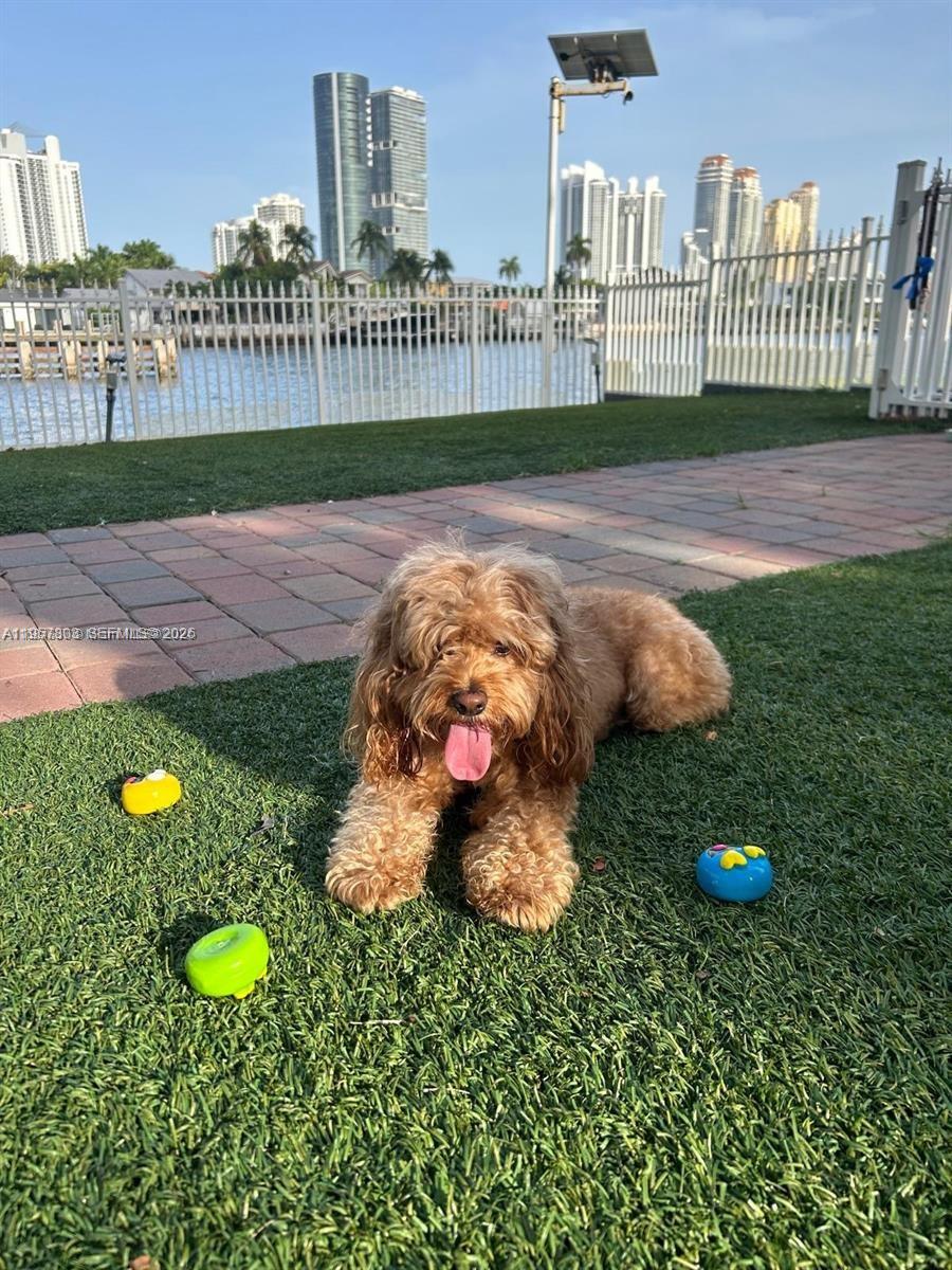 MYSTIC POINTE CONDO NO ON - Residential Lease