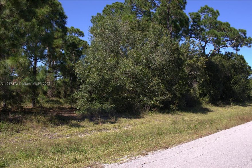 This is a rare find.  This beautiful half acre lot in Lehigh Acres with the adjacent half acre lot also for sale.  Two different folio numbers.  Great opportunity to own one acre of land, located in a developing area where existing homes are and new houses are being built. Paved roads and electricity, minutes from shopping, dining, entertainment and a short drive to I-75 and Downtown Fort Myers. Don't miss this great opportunity to secure land in a desirable and developing neighborhood!