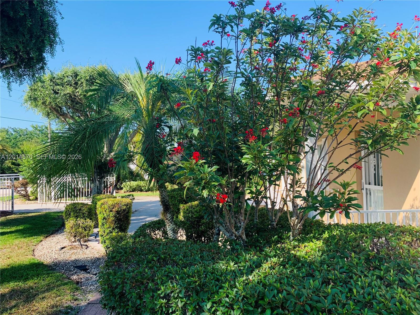 PLACID RIDGE AND SOUTH - Residential