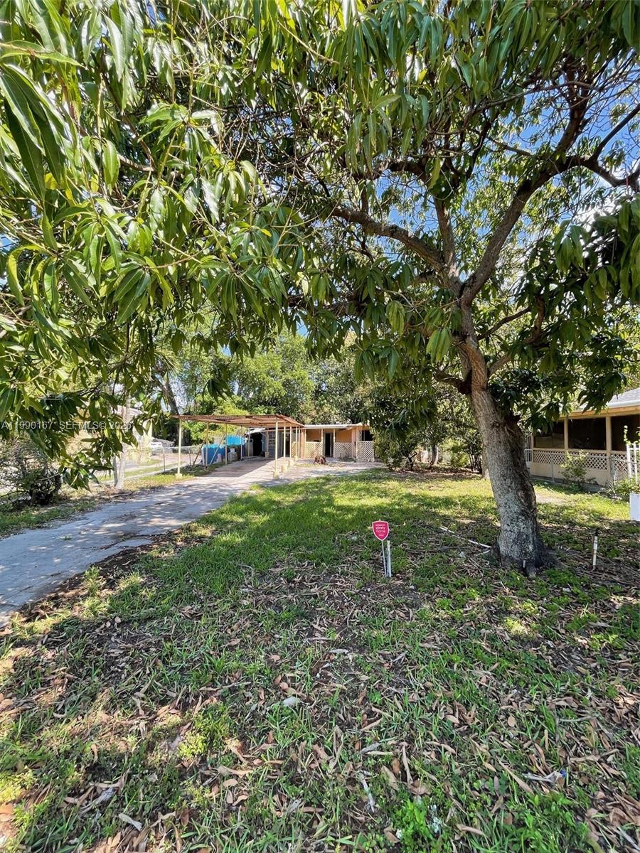 HIGH SCHOOL PK TRACK - Land