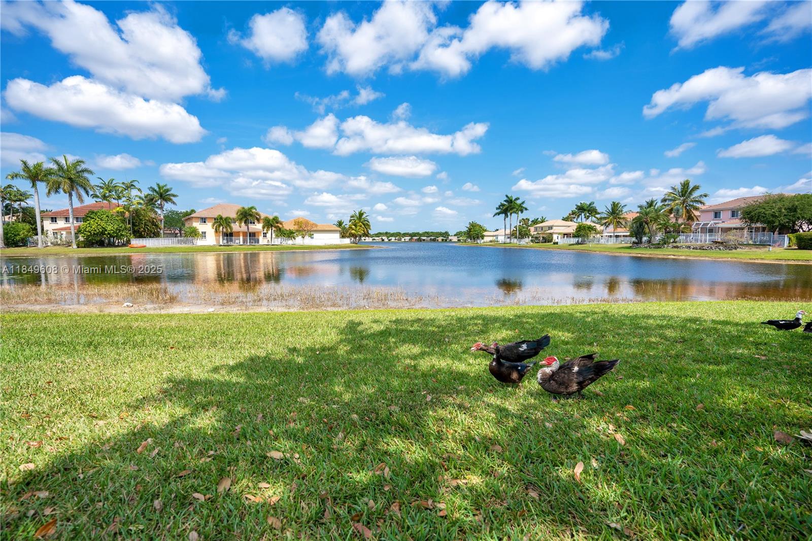 CAMDEM MEADOWS - Residential Lease