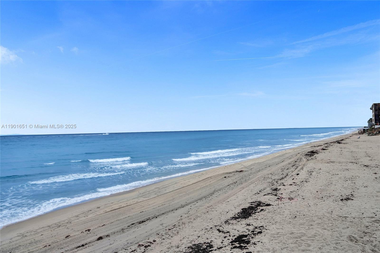 MAYFAIR HOUSE CONDO - Residential