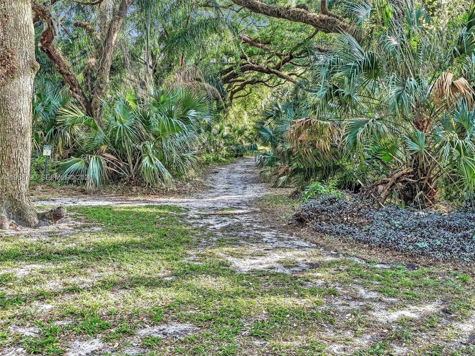 POINCIANA PINE ISLAND - Residential