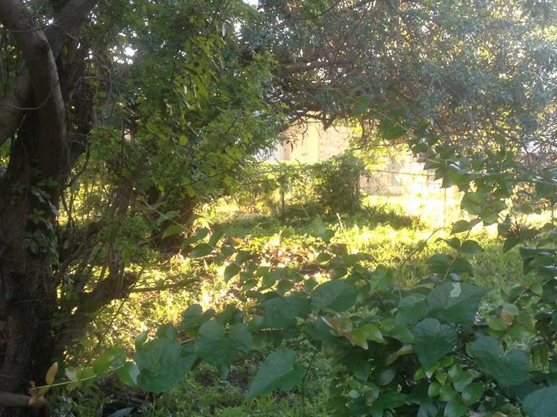 SEVENTH AVE PK - Residential