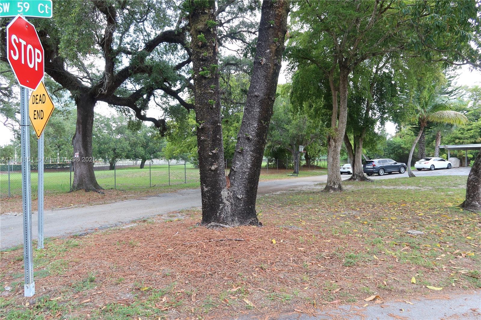 FRANCES GROVE ESTATES - Land