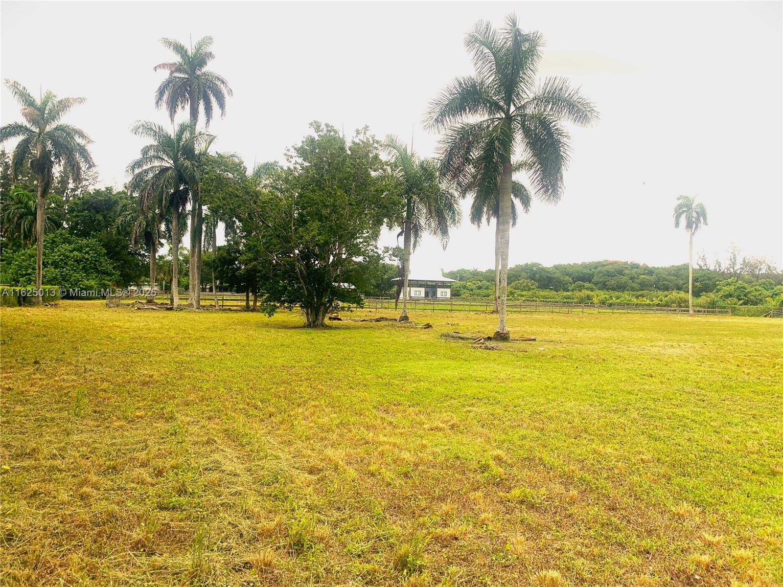 REDLAND CITRUS ORCHARDS S - Land