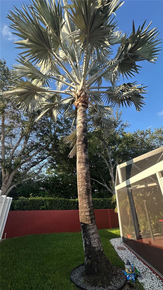 TRILOGY - Residential Lease