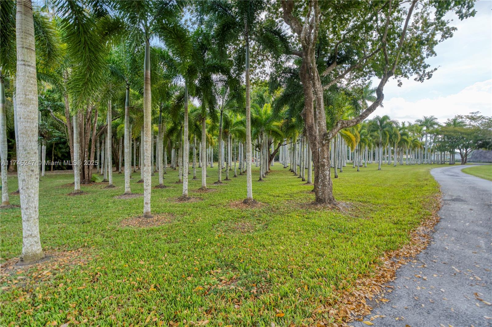 FLA FRUIT LANDS CO SUB NO - Residential