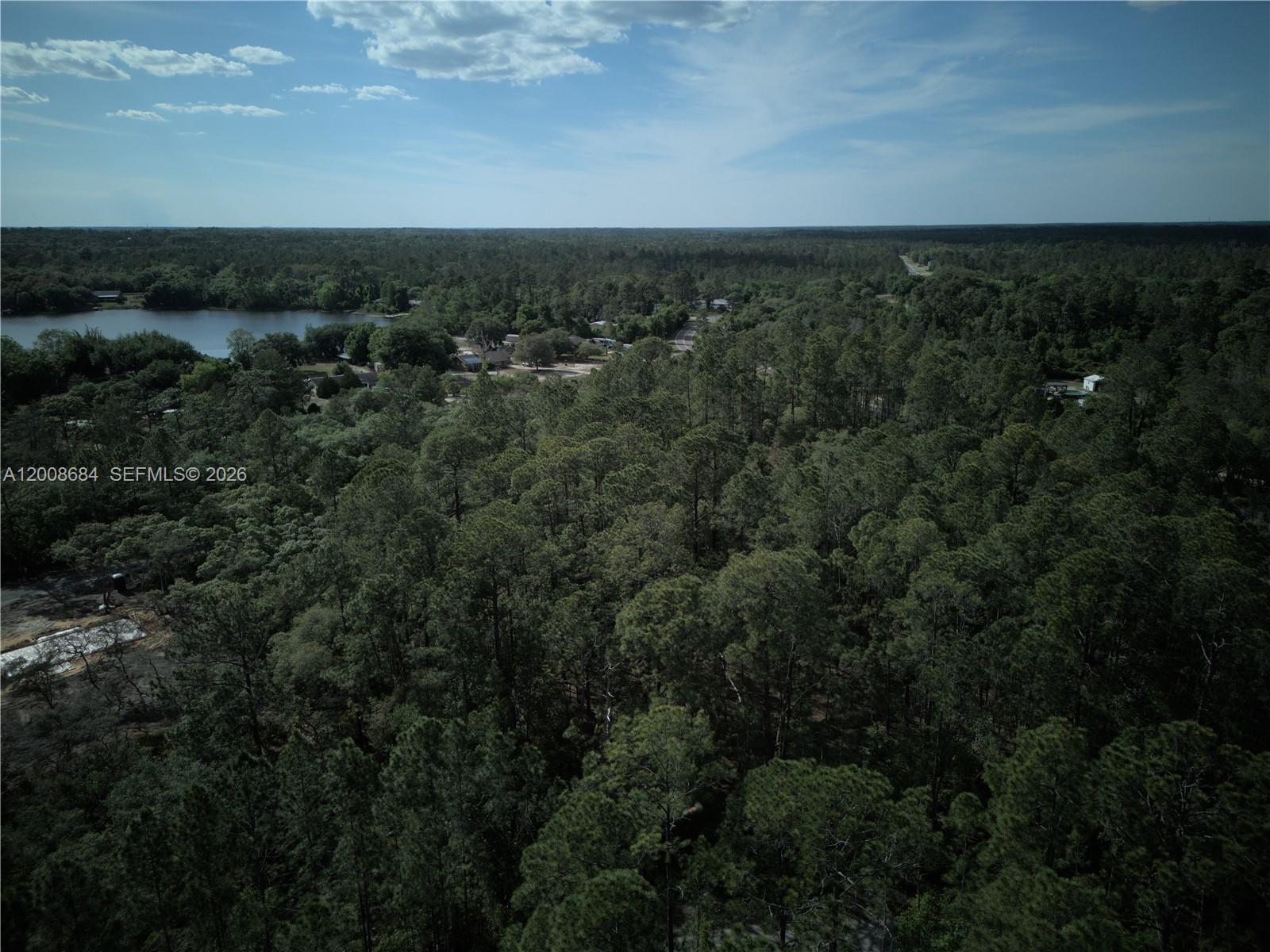 SILVER SPRINGS SHORES - Land