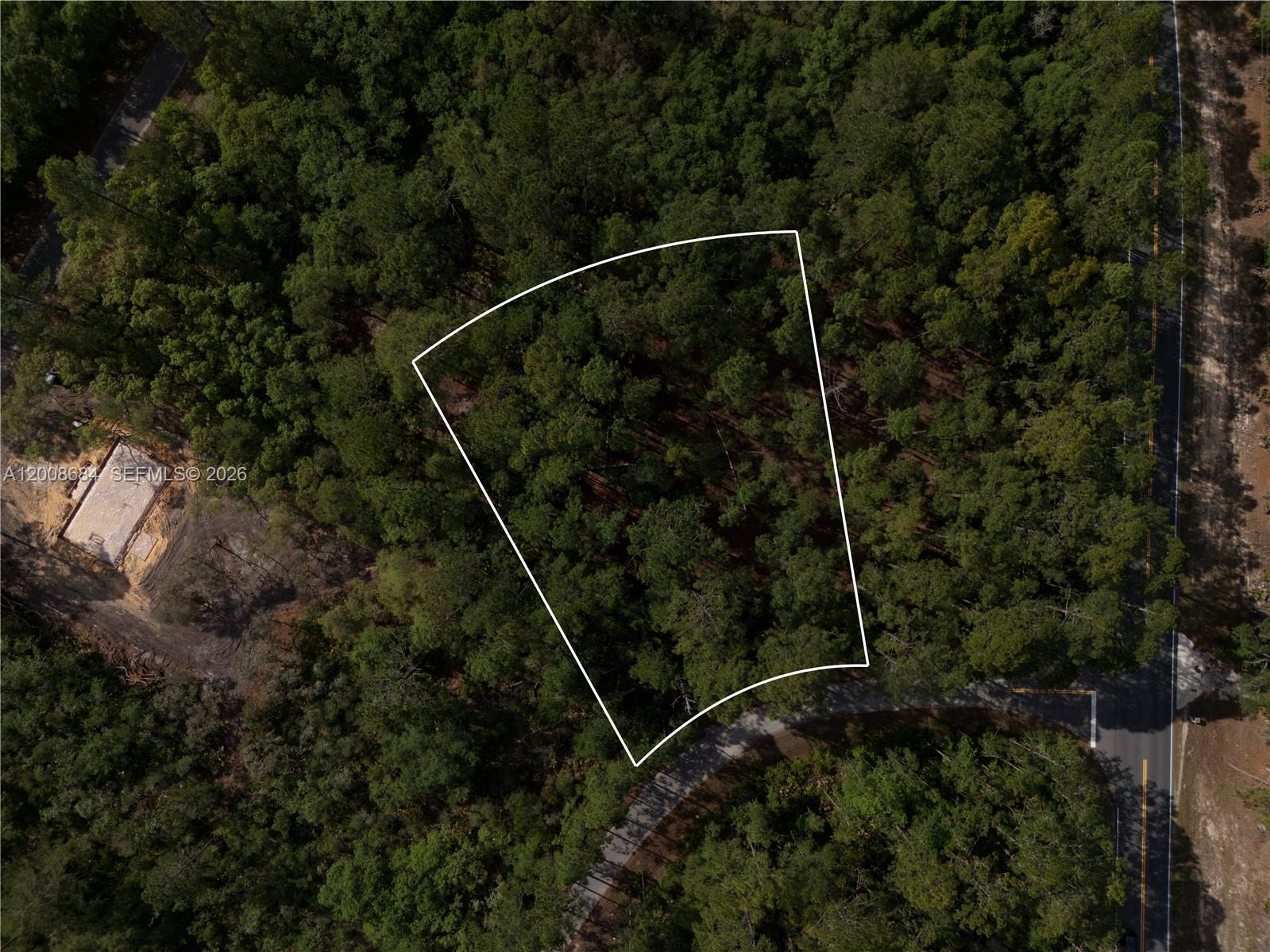 SILVER SPRINGS SHORES - Land