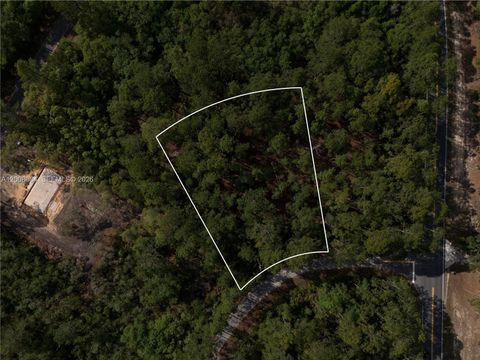0 Fisher Trace Dr Other FL 32179