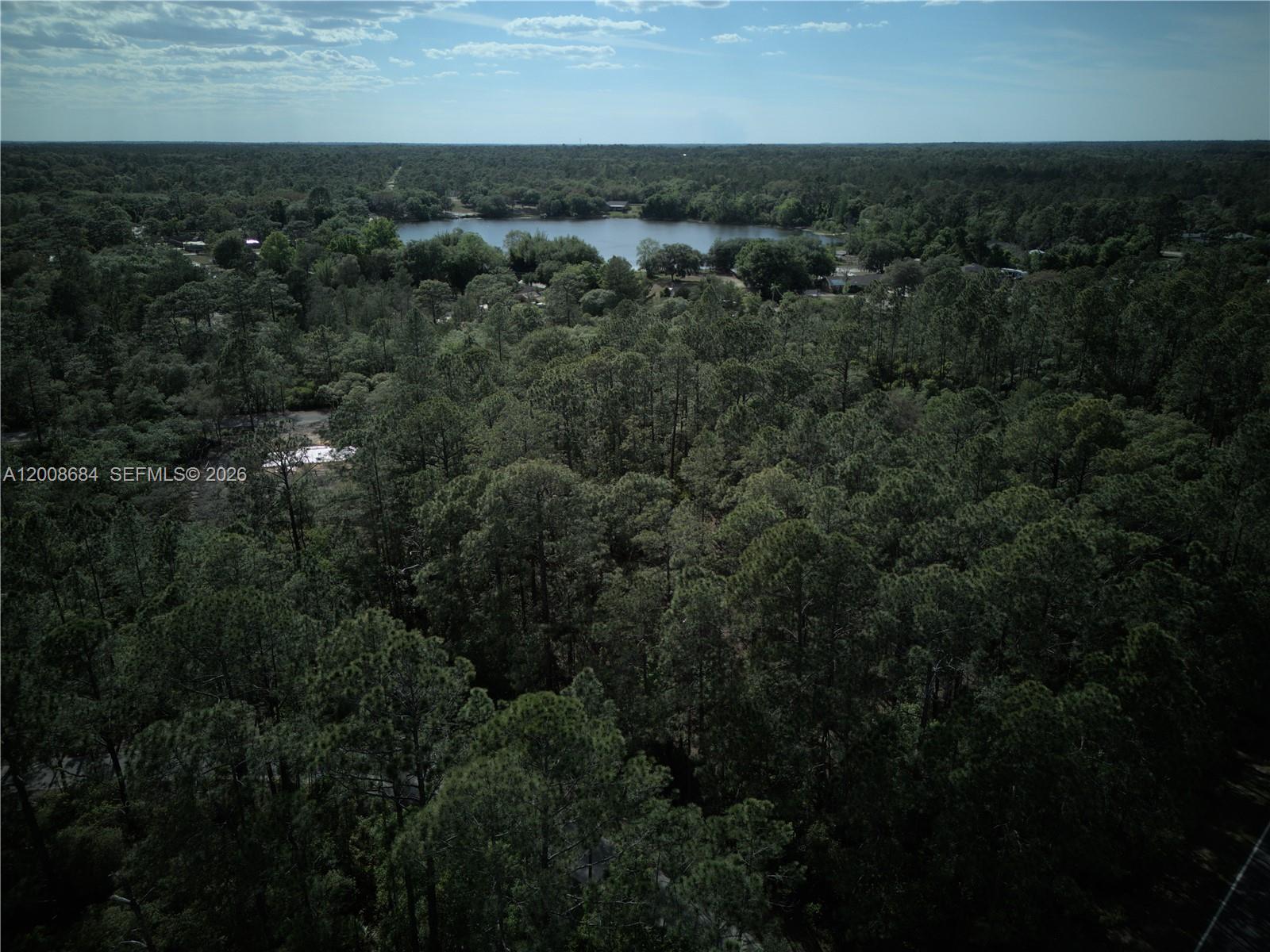 SILVER SPRINGS SHORES - Land