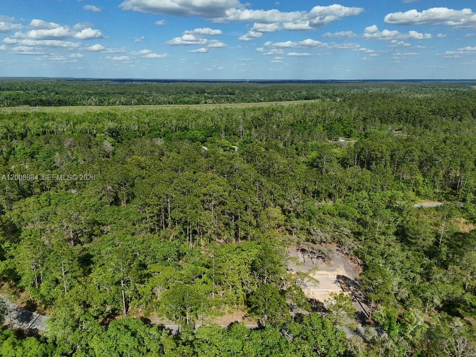 SILVER SPRINGS SHORES - Land