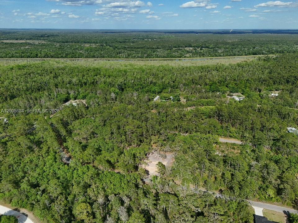 SILVER SPRINGS SHORES - Land