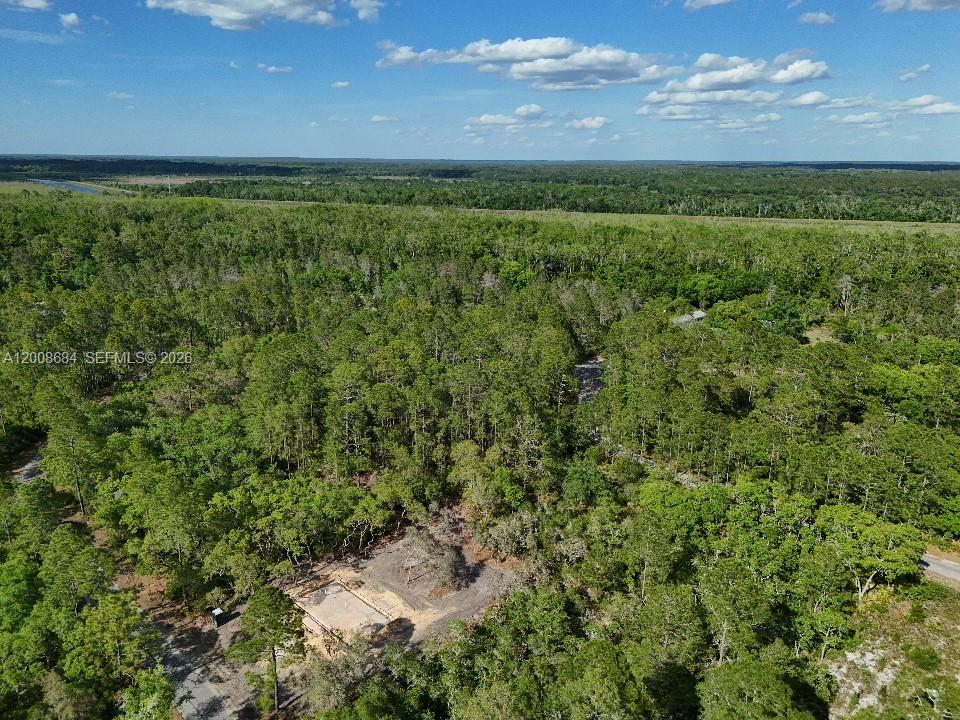 SILVER SPRINGS SHORES - Land
