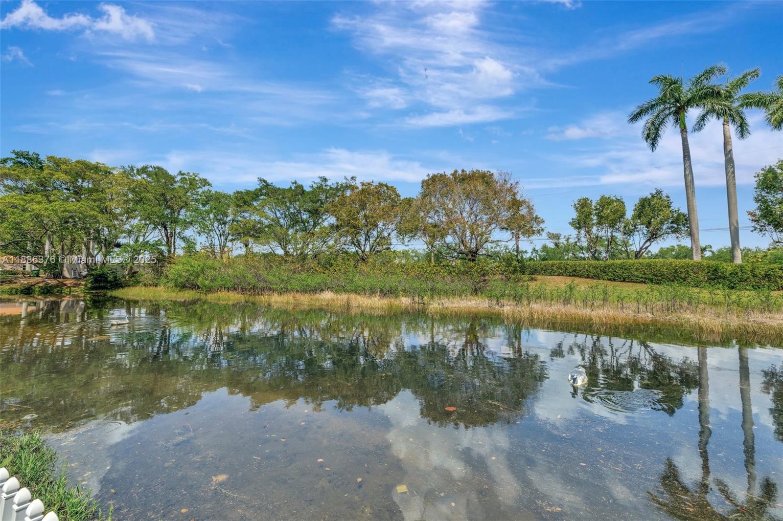 PARKSIDE AT SPRING VALLEY - Residential