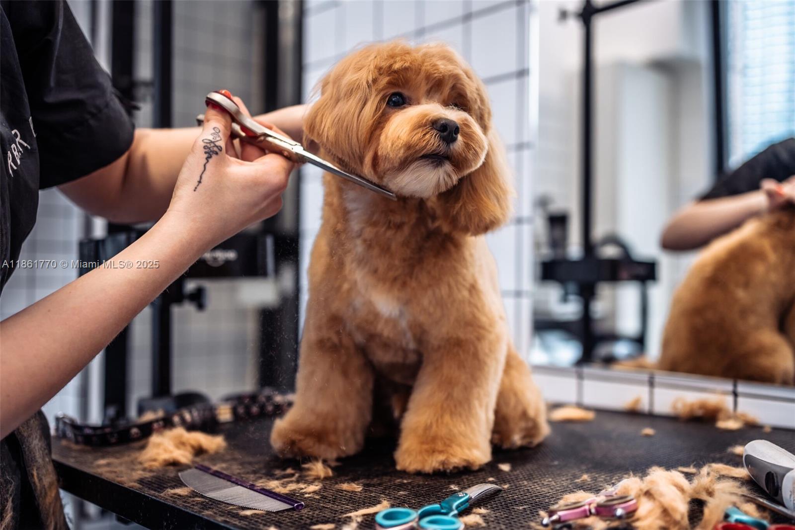 Prime Pet Grooming & Retail Boutique in Miami’s booming Downtown market. Surrounded by multiple luxury high-rise towers (with more under construction), the store benefits from an ever-growing pet population and high demand for premium grooming services. Established in 2019, it has earned a stellar reputation for quality, cleanliness, and service, supported by an experienced team. Highlights include recurring revenue, loyal clientele, franchise recognition with preferred royalty terms, $45K inventory included, SBA pre-approval, and strong Investor Visa (E-2/L-1) potential. Positioned for immediate and long-term growth, this is a rare turnkey opportunity in one of Miami’s most dynamic neighborhoods.