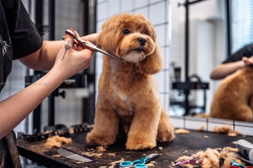 Prime Pet Grooming & Retail Boutique in Miami’s booming Downtown market. Surrounded by multiple luxury high-rise towers (with more under construction), the store benefits from an ever-growing pet population and high demand for premium grooming services. Established in 2019, it has earned a stellar reputation for quality, cleanliness, and service, supported by an experienced team. Highlights include recurring revenue, loyal clientele, franchise recognition with preferred royalty terms, $45K inventory included, SBA pre-approval, and strong Investor Visa (E-2/L-1) potential. Positioned for immediate and long-term growth, this is a rare turnkey opportunity in one of Miami’s most dynamic neighborhoods.