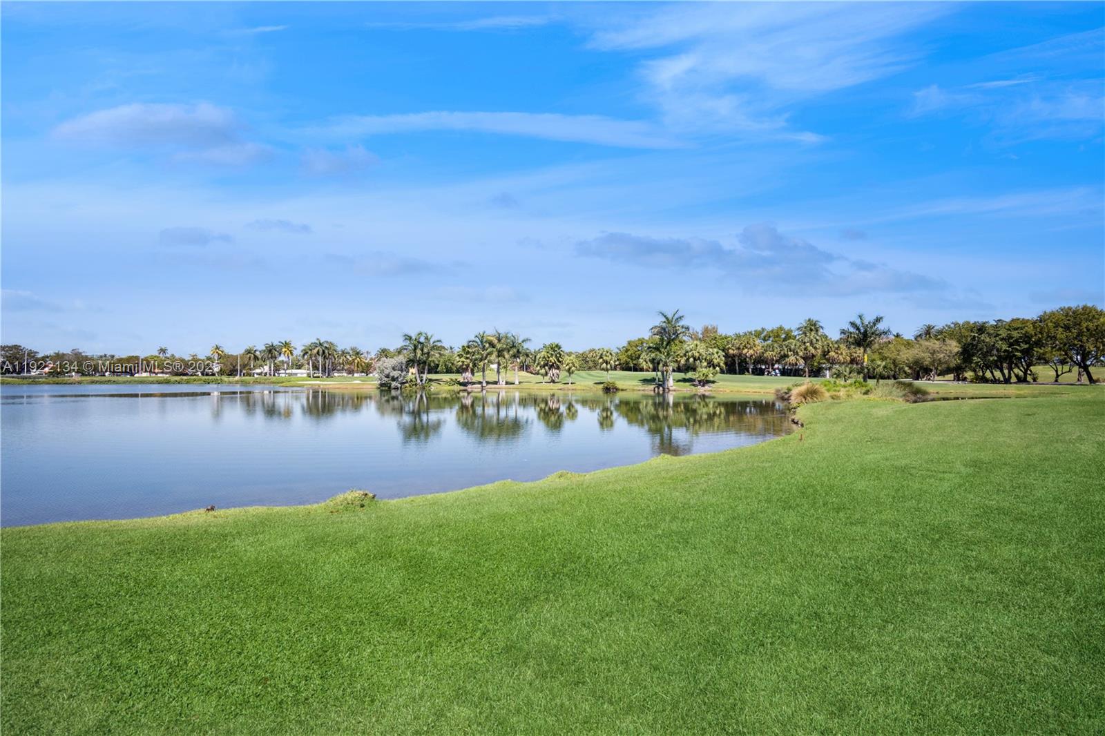 THE MERIDIAN CONDO - Residential